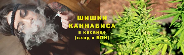 не бодяженный Горнозаводск
