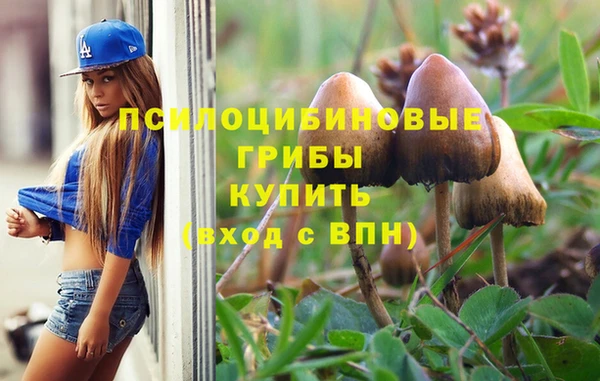 не бодяженный Горнозаводск