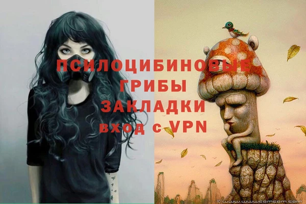 не бодяженный Горнозаводск