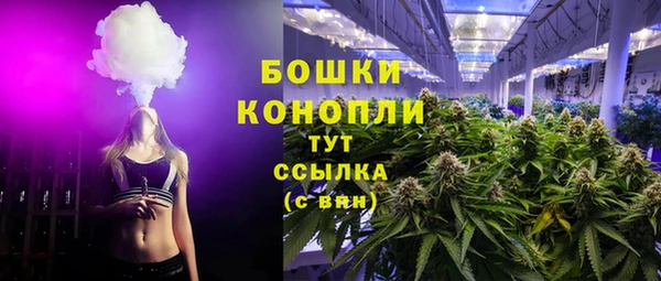 мяу мяу мука Горняк