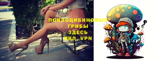не бодяженный Горнозаводск