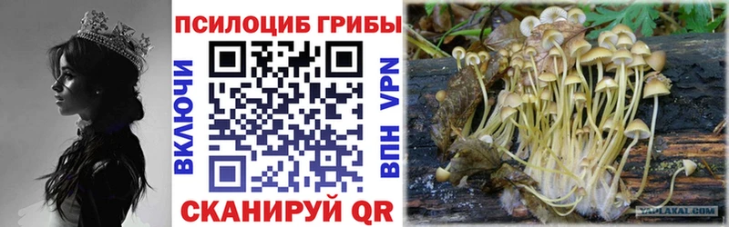 блэк спрут как войти  Ивангород  Галлюциногенные грибы Magic Shrooms 